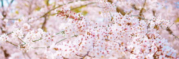 2aoki9 Profile Banner