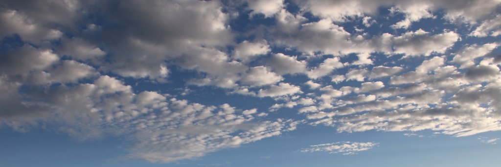 MPKleinhenz's profile banner image
