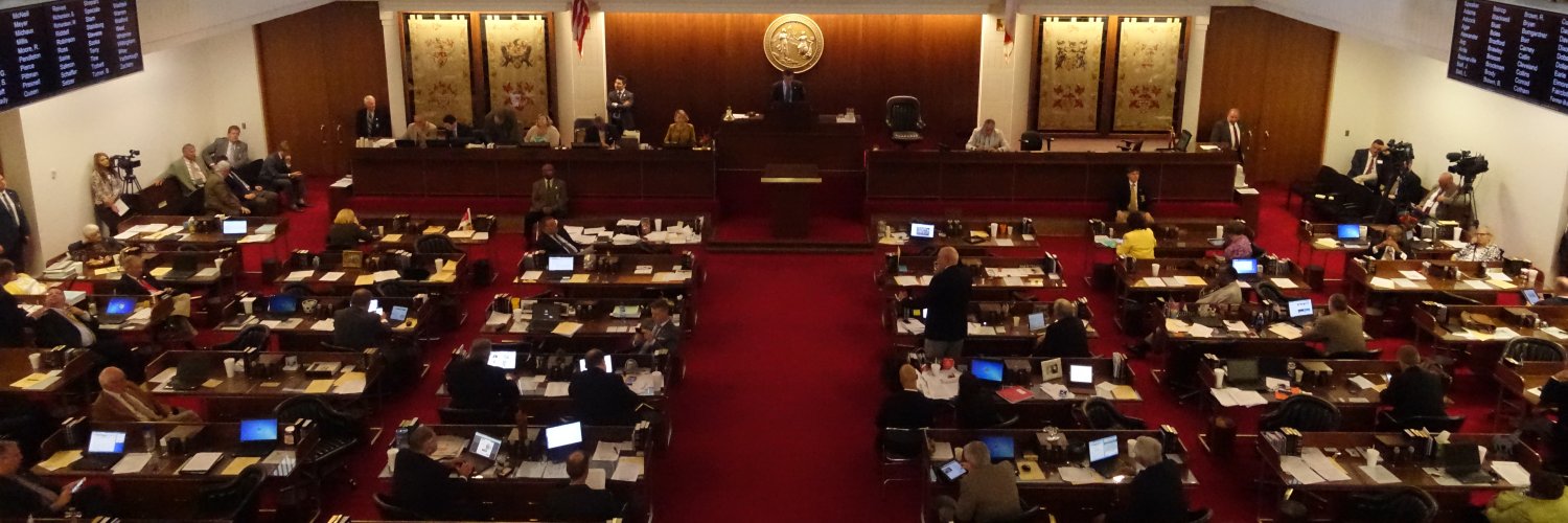 Rep Mary Belk banner