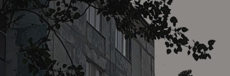 𝖘𝖆𝖓𝖞𝖆 𝖋𝖚𝖗𝖎𝖐 banner