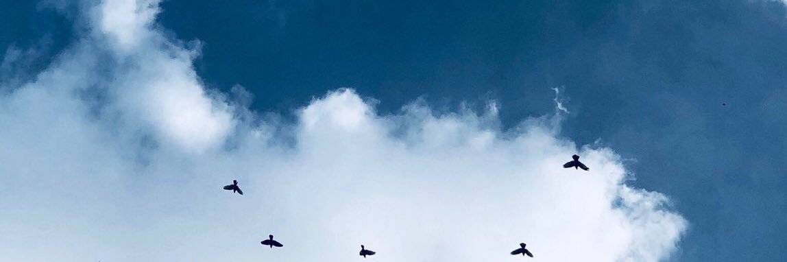 bsmah🤍 banner
