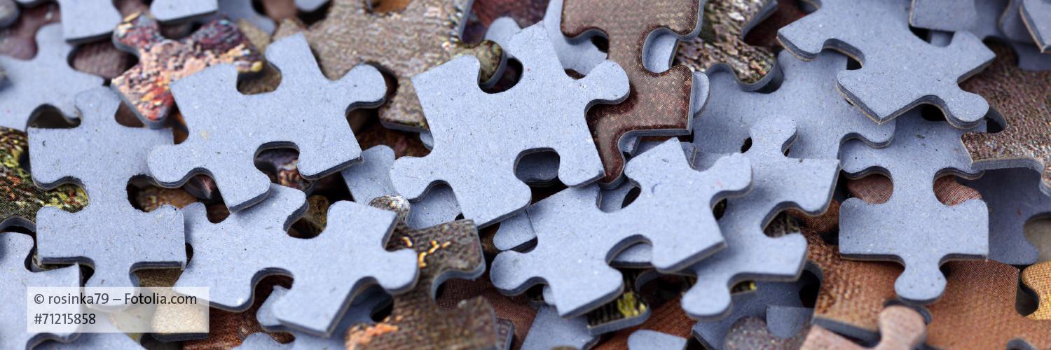 Bitkom_Software banner