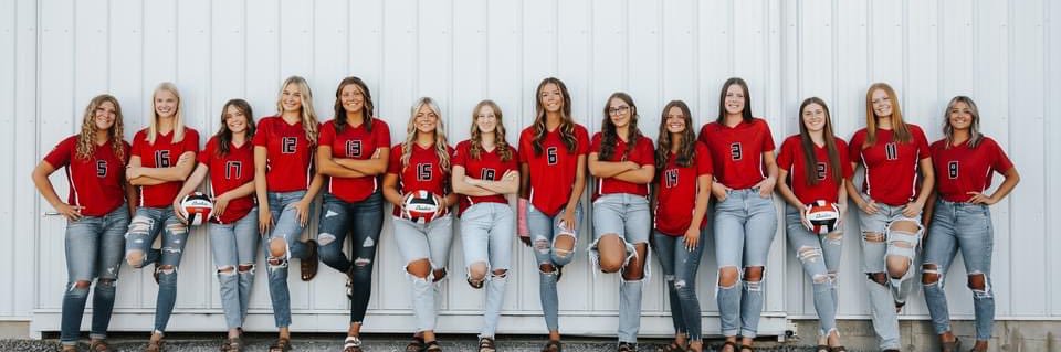Spring Grove Volleyball banner