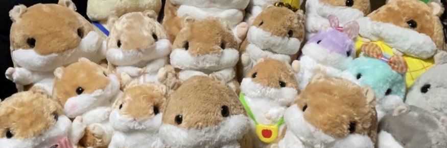 aika_1101's profile banner image