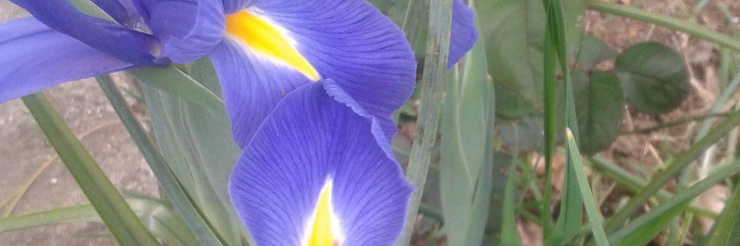RaquelF57530247's profile banner image