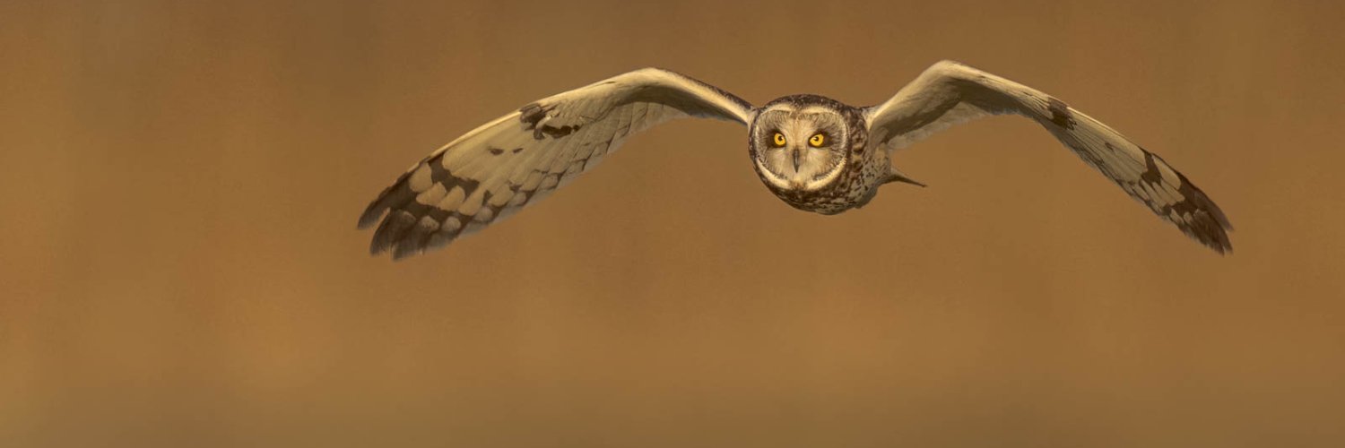 Nick Bowman banner