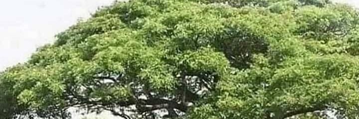 Analon_Writer's profile banner image