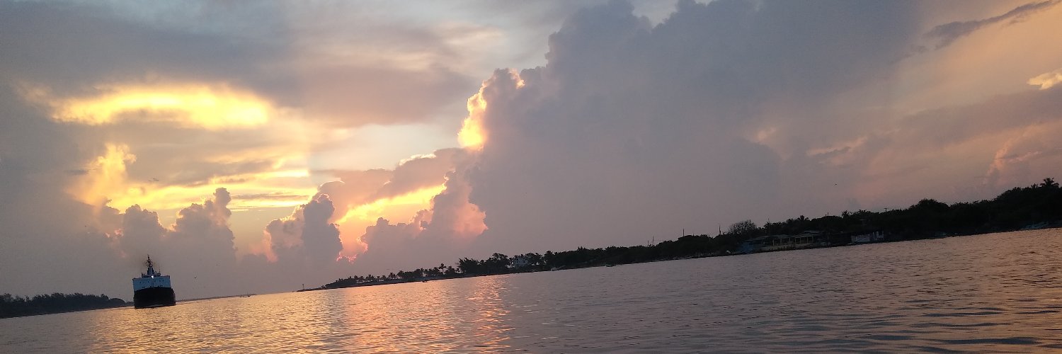 Chizuru D' Hikari banner