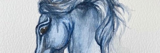 begumhan_'s profile banner image