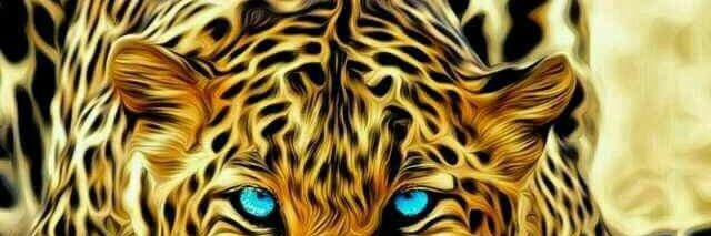 bernardobejara8's profile banner image