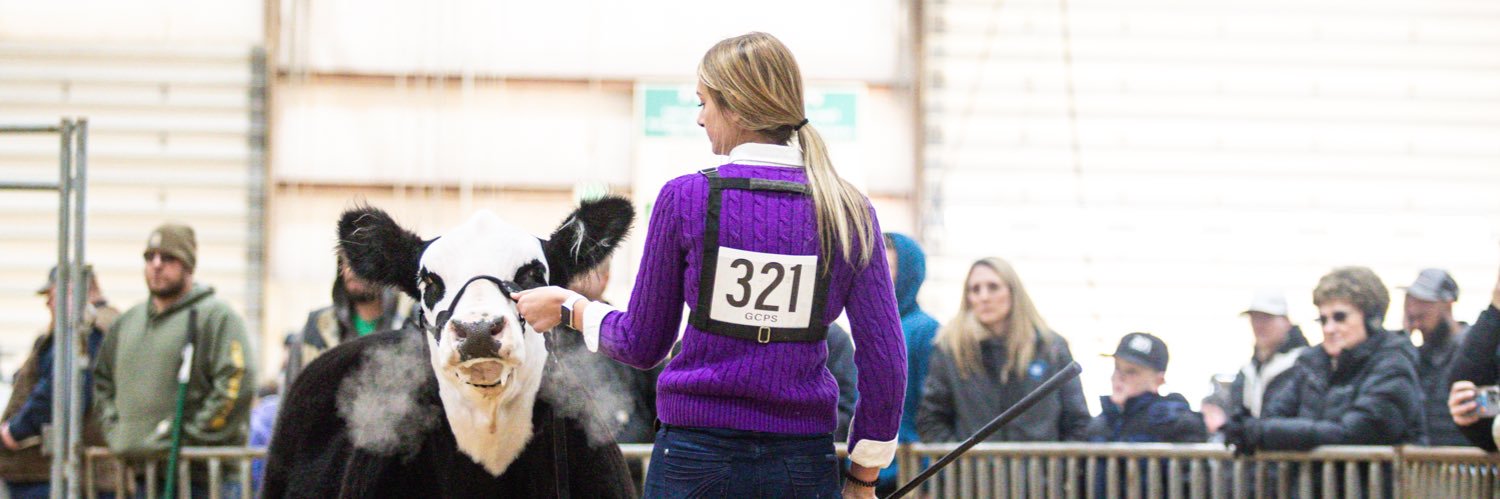 Mallory Johnson banner