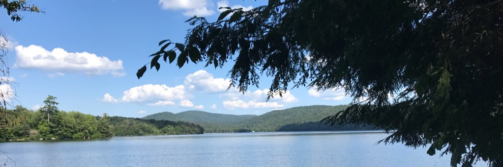 TerrySpoons's profile banner image