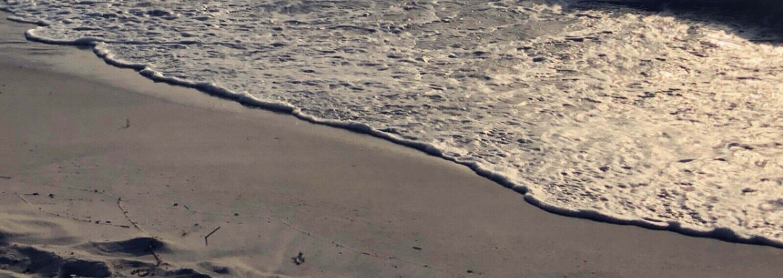 Rastaclem's profile banner image