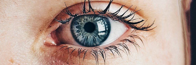 Grégoire Steffen banner