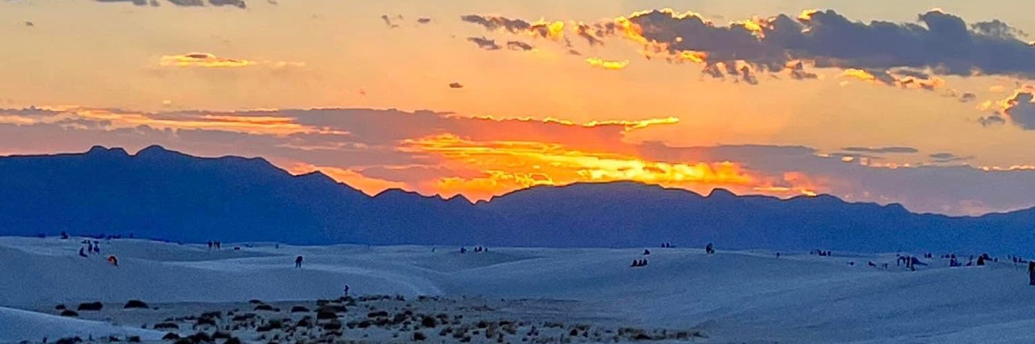 Emily McCarthy banner