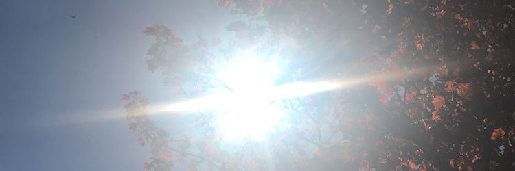 eilisbee's profile banner image