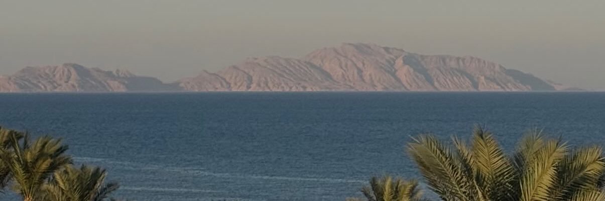 لولوه banner