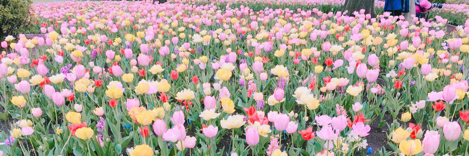 1211Yuko's profile banner image