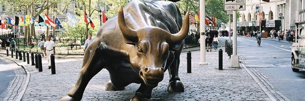 rosalina_mb Profile Banner