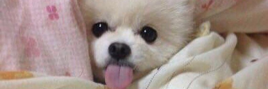 itslibbywhite's profile banner image