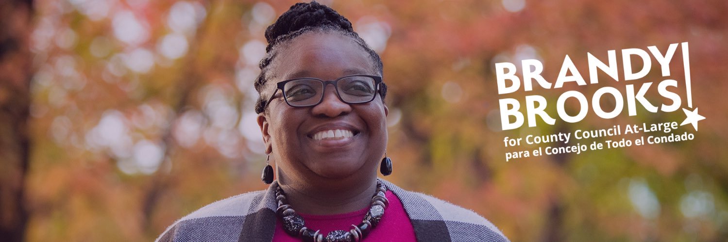 Brandy Brooks for County Council banner