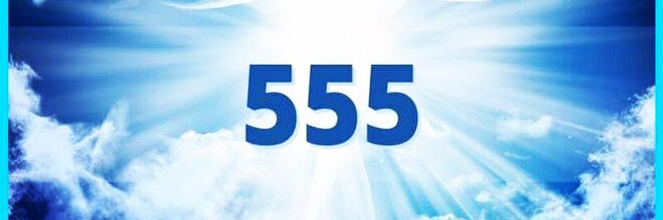 Liali2424's profile banner image