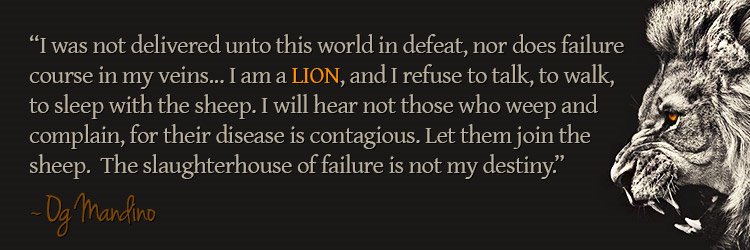 alonna monroe banner