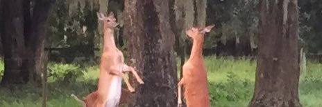 rhhunts1's profile banner image