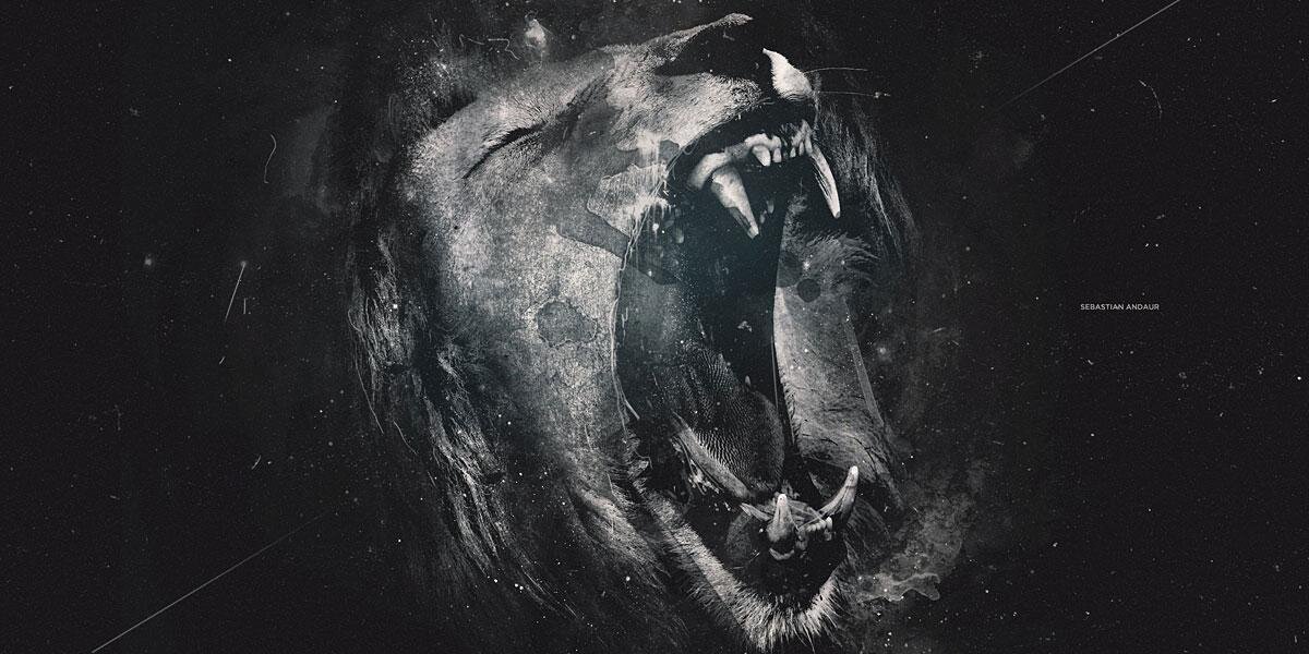 MongeotPierre's profile banner image