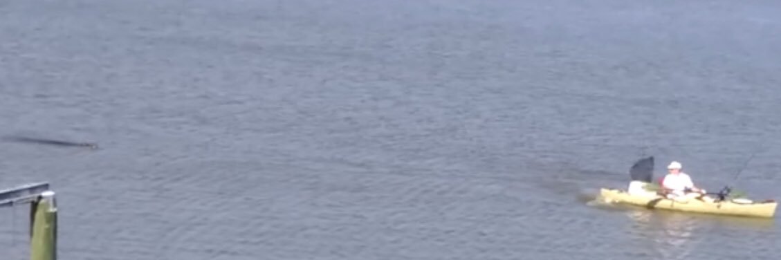 TheMobileGator's profile banner image