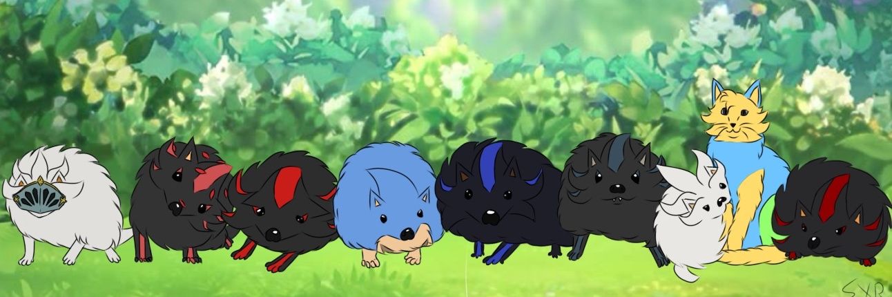 TakeHa0908's profile banner image