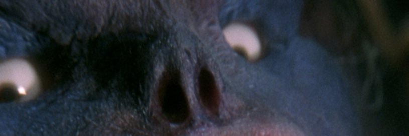 marcvs's profile banner image