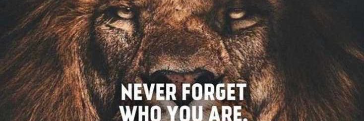 Dr. Matrice Raven banner