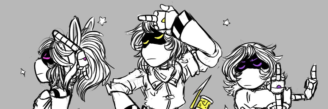 Toma's banner