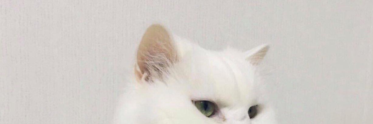 Тювилина banner