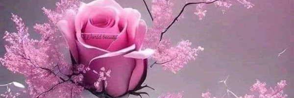 ROSEott11 Profile Banner