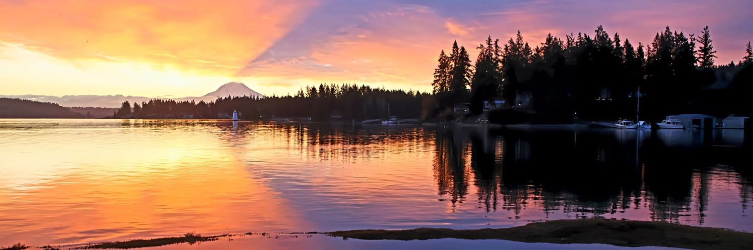 ⛵️🪸🐚𝓢𝓱𝓮𝓻🐚🪸⛵️ banner