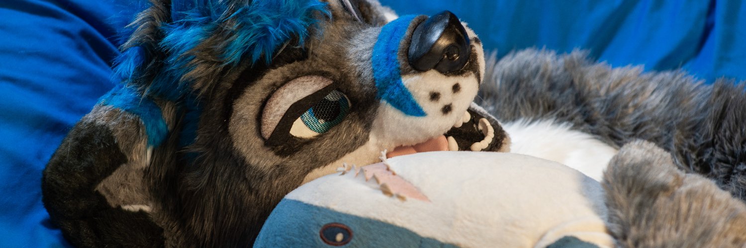 Pavel 🦊ΘΔ banner