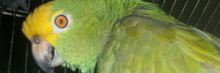 kittypink24's profile banner image