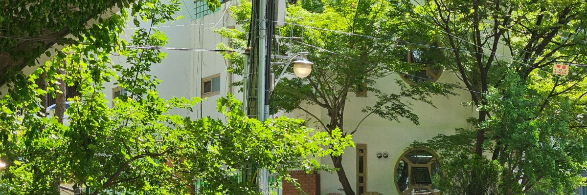 꽁치🐟 banner