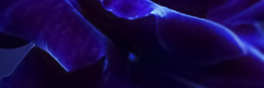 Maxx Trenitno banner