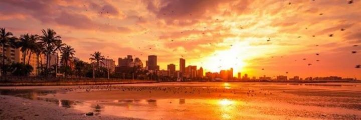 TracyEngelbrech's profile banner image