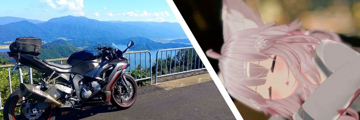 うぃどん banner