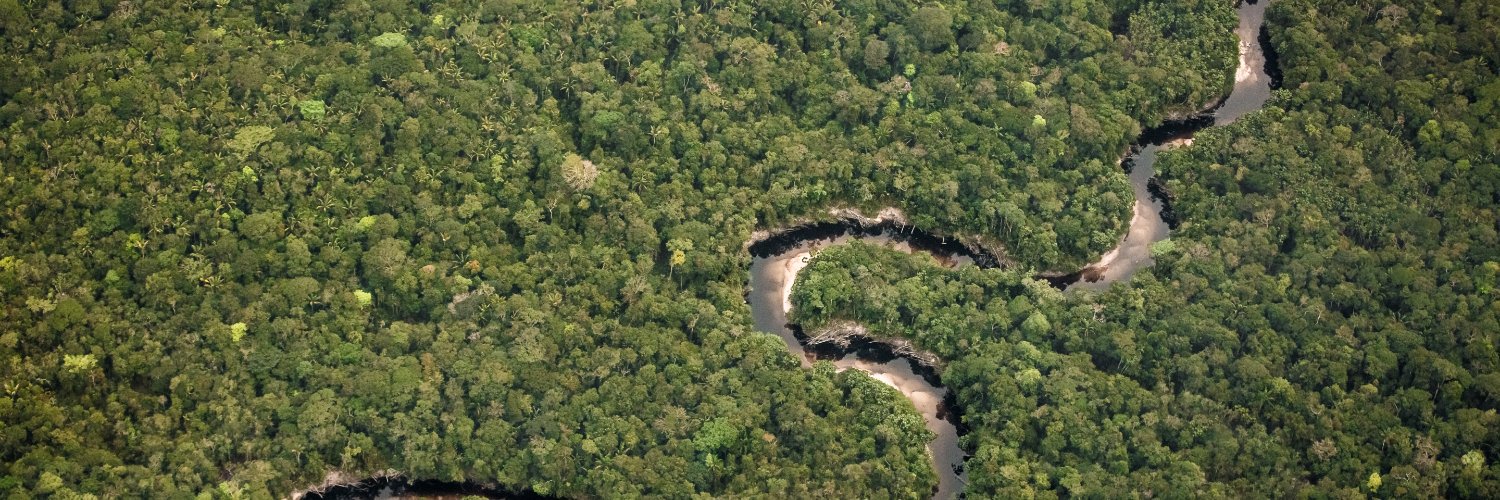 WWF Forests's banner