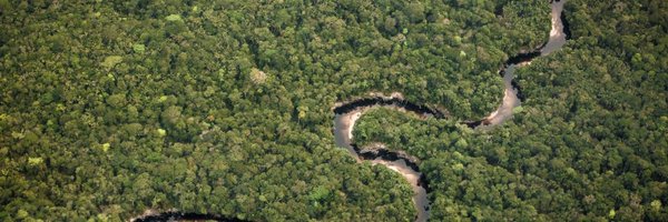 WWFLeadForests Profile Banner