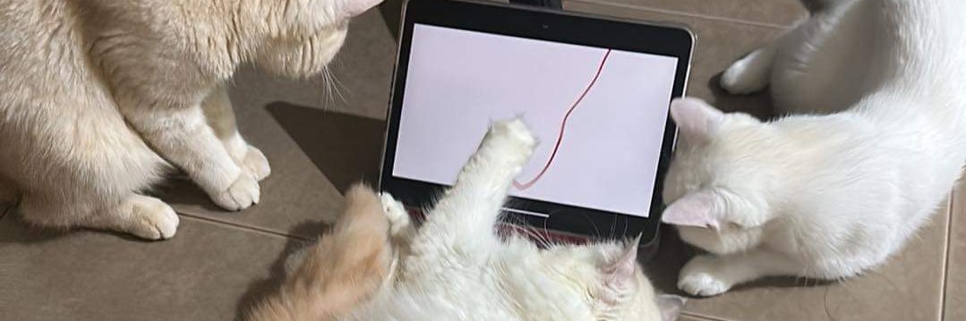 OUMIMMMM's profile banner image