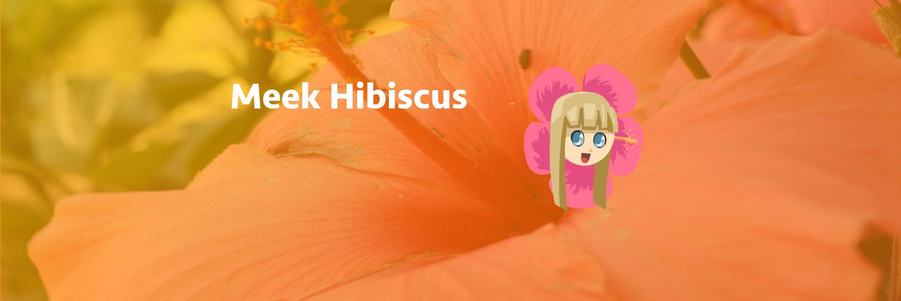 MeekHibiscus's profile banner image