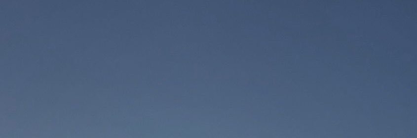 cori banner