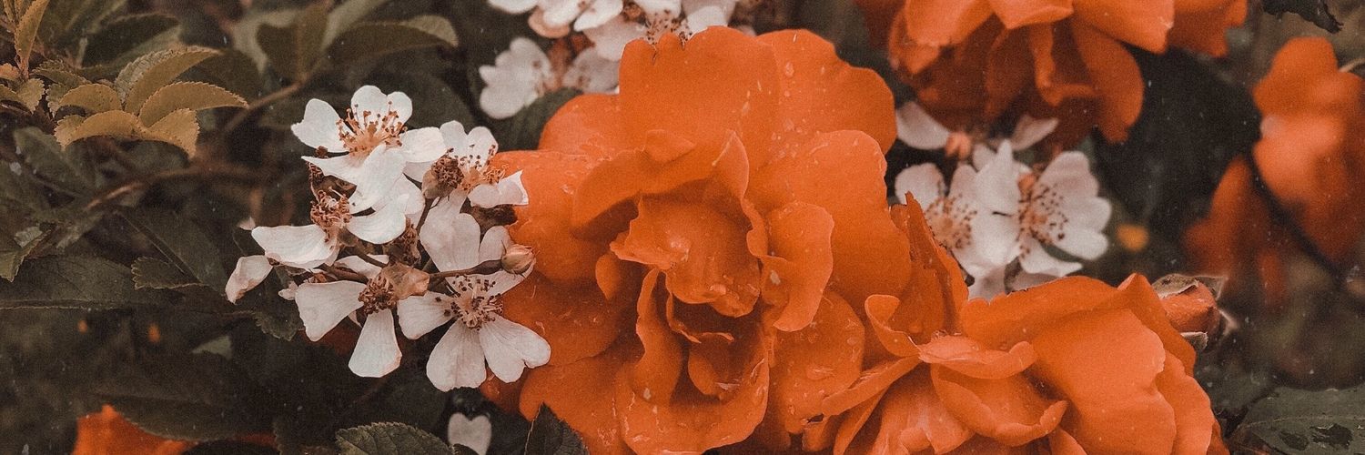 raquelrn9's profile banner image