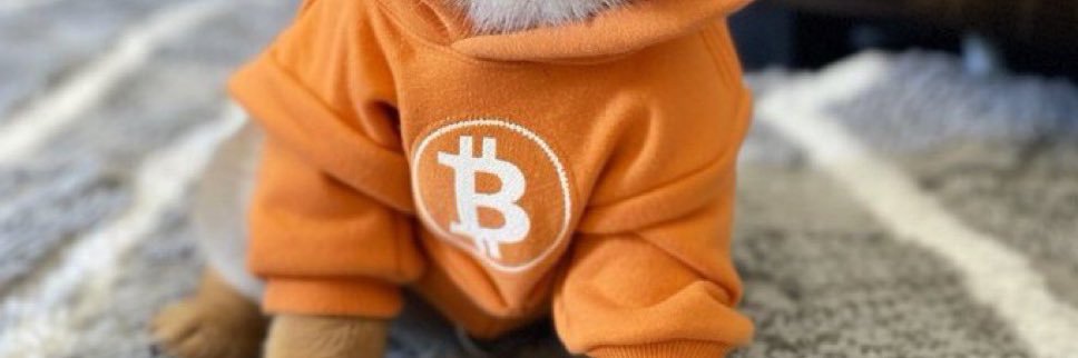 JacobEngelbrech's profile banner image